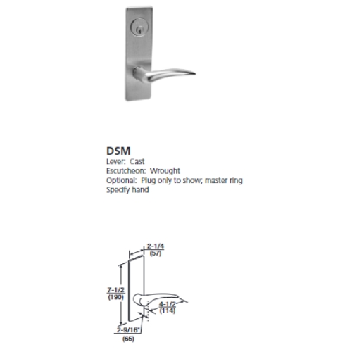 ML2024-DSM