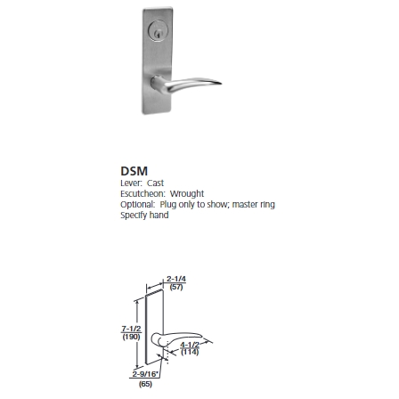 ML2024-DSM