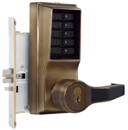 RR8146C-05-41