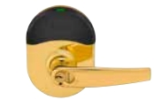605 - Bright Brass (nde) [+$46.62]
