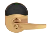612 - Satin Bronze (nde) [+$46.62]