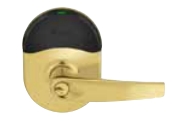 606 - Satin Brass (nde) [+$46.62]