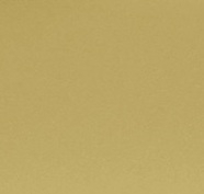 BR - Satin Brass Painted